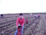 На уборке урожая в 2011 году